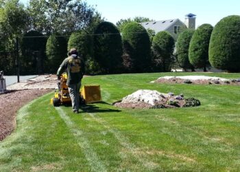 Spring Yard Clean Up Checklist: Top Tips for a Perfect 2024