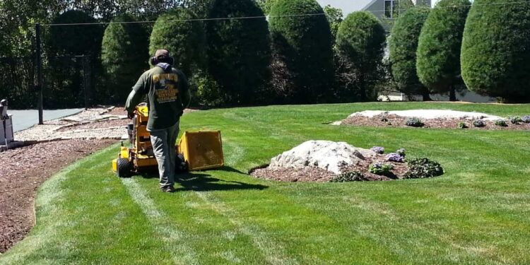 Spring Yard Clean Up Checklist: Top Tips for a Perfect 2024