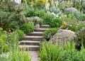 Sustainable gardens: 10 ideas for an eco-friendly space | Gardeningetc