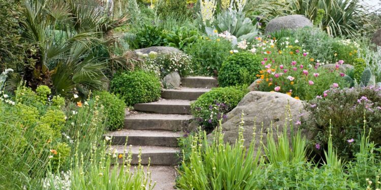 Sustainable gardens: 10 ideas for an eco-friendly space | Gardeningetc