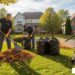 Lawn care clean up near me: Expert 2025