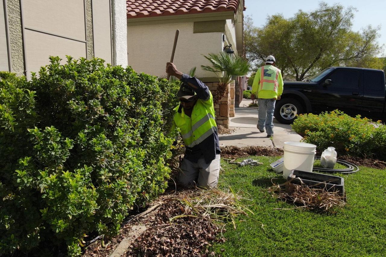 One-Time Yard Clean Up Services In Las Vegas